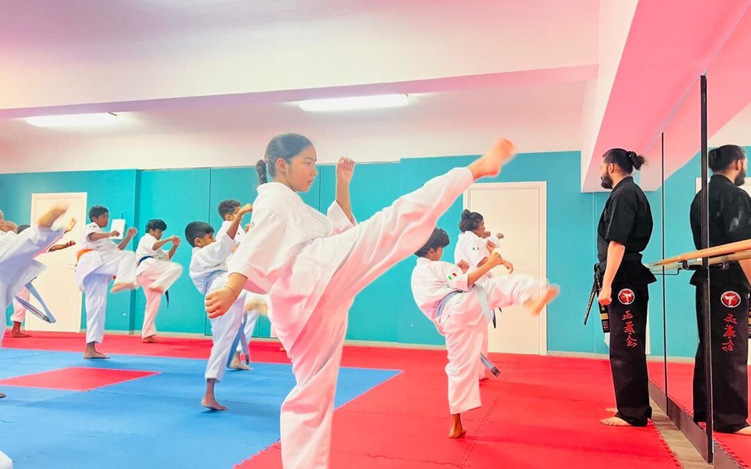 What is Seiken Karate