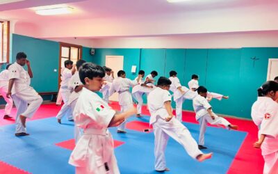 History of Karate